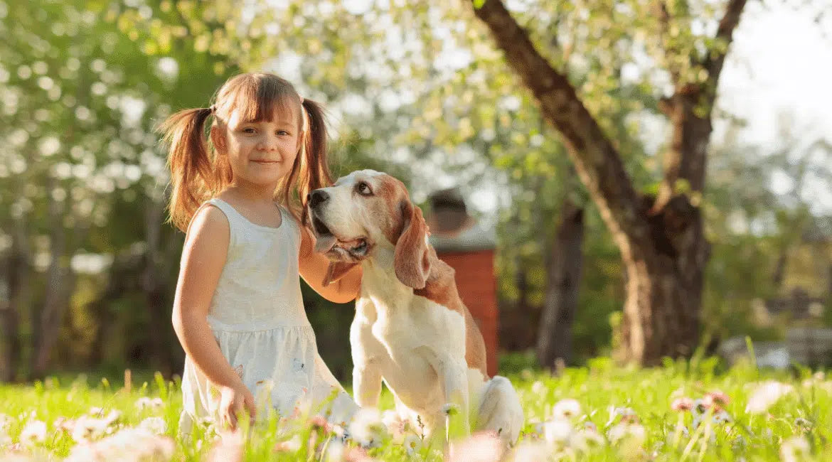 Hond en kind in een veld