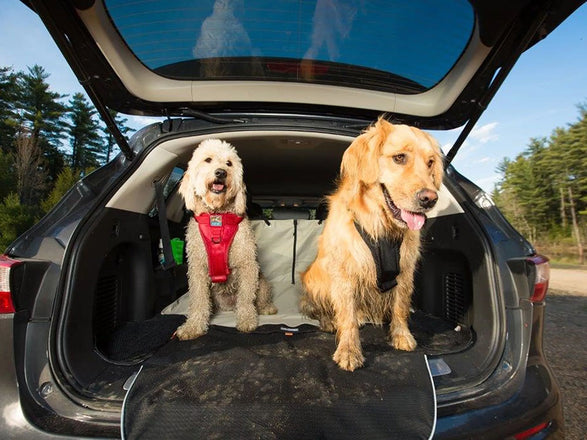 koffer beschermingsdeken