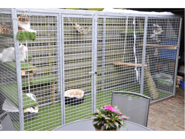 Ingerichte kattenren