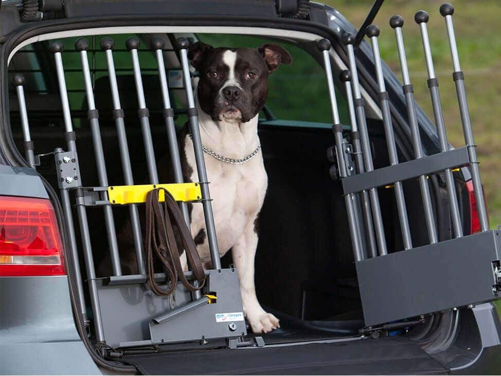 Petcomfort hondenrek demo