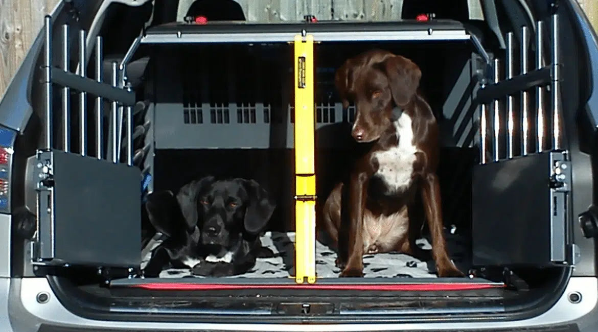 Honden in autobench van variocage