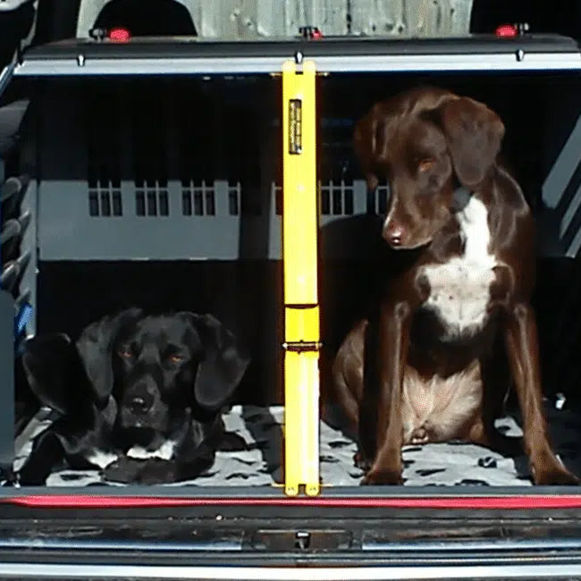 Honden in autobench van variocage