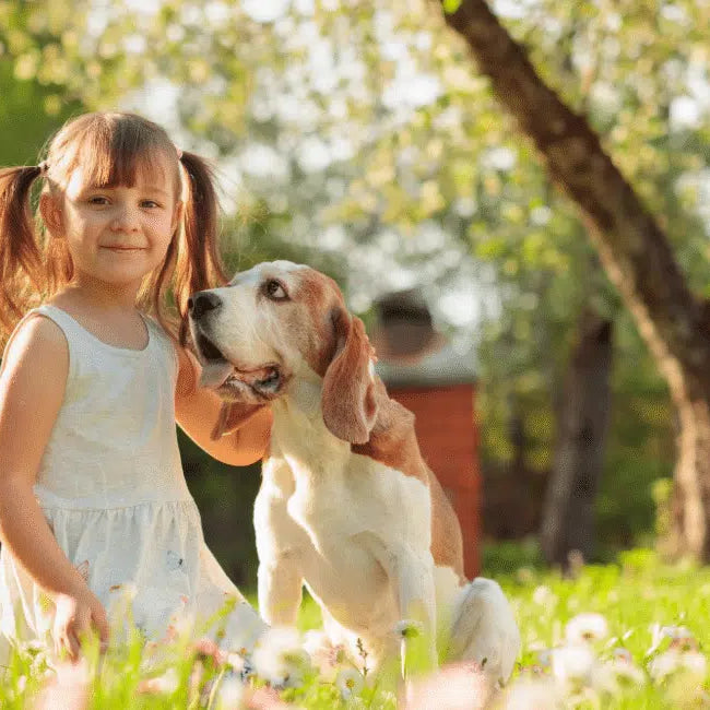 Hond en kind in een veld