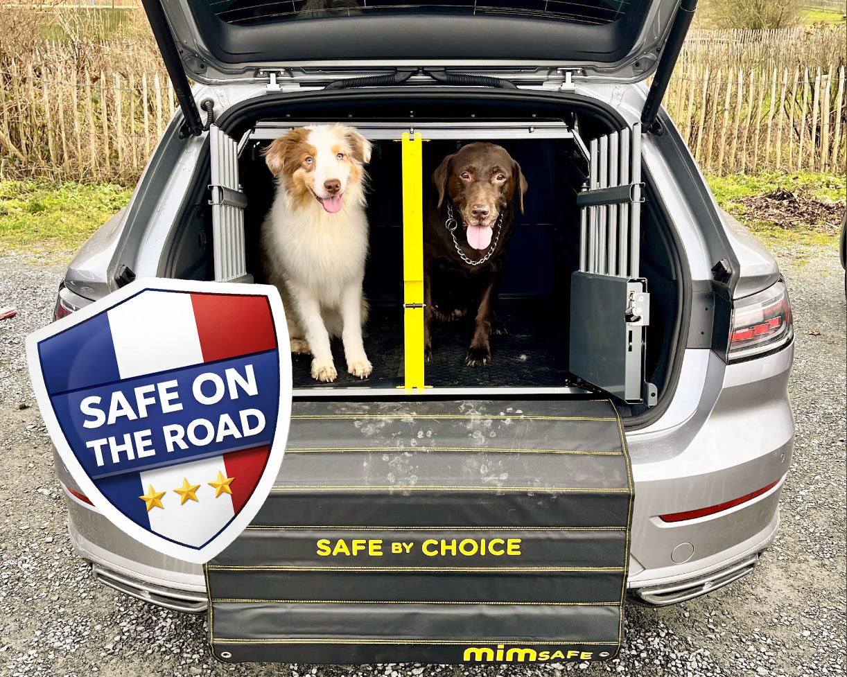 Frankrijk controleert strenger op honden in de auto