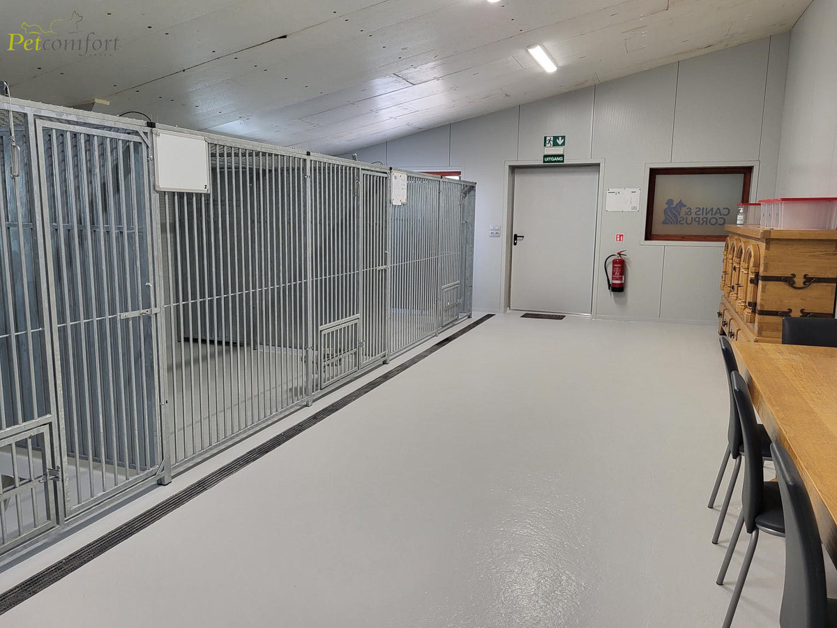 Hondenpension binnenrennen Canis & Corpus te Stavele