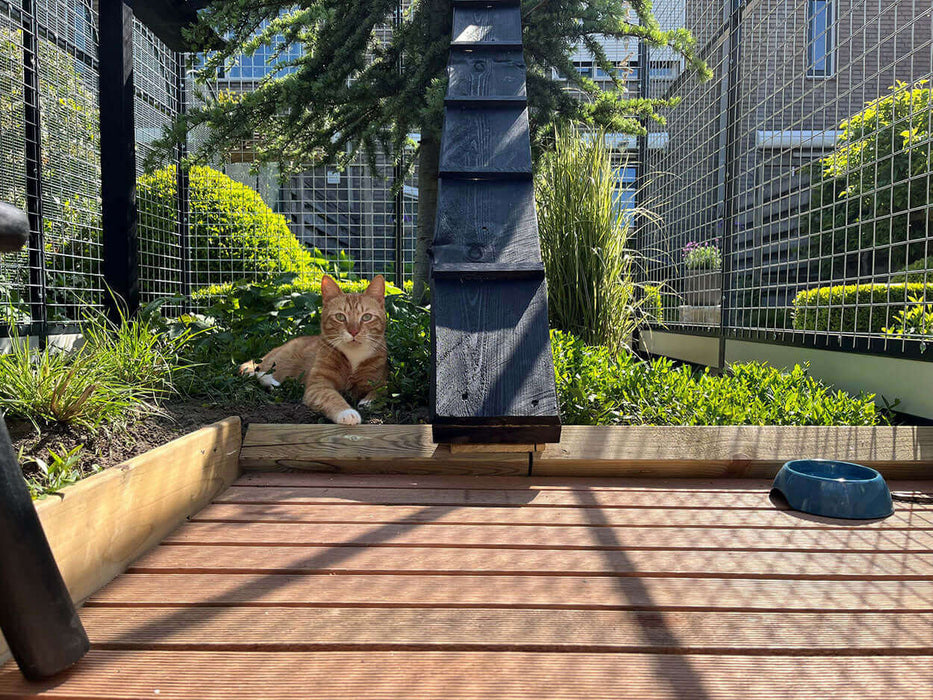 Enclos pour chats Deluxe en aluminium pour extérieur avec sas, abri et encadrement en bois