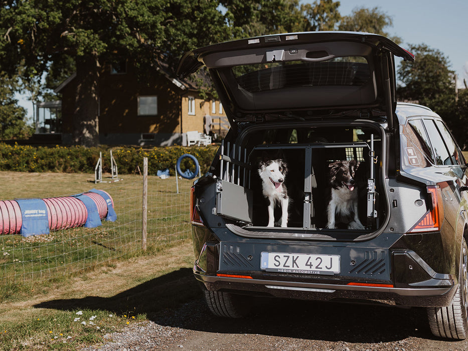 Twee border collies in variocage dubbel op hondenschool