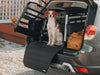 Hond in Thule autobench met accessoires