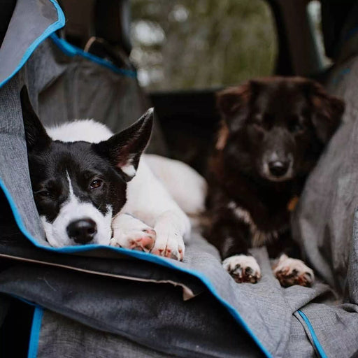 2 honden op een auto achterbank met Kurgo beschermingsdeken