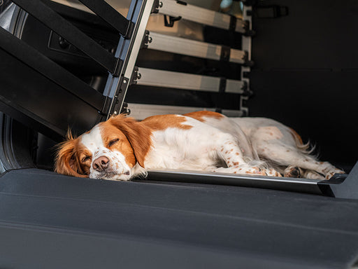 Hond in Thule Allax autobench op silicone mat
