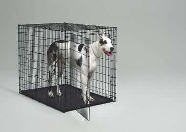 Cage pour chien en élégant bois de construction