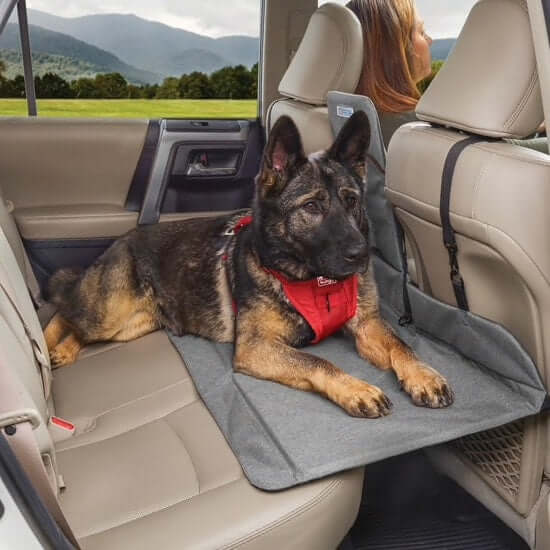 Barrière backseat pour animaux domestiques : Transport du chien
