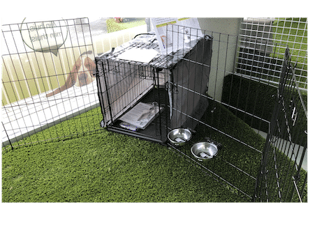 Maxxpet puppyren: 7x de beste van 2025 [Maxxpet Korting Maxxpet puppyren: 7x de beste van 2025 [Maxxpet Korting