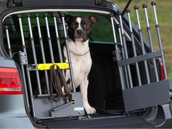 Skoda anticipe l'obligation de ceinturer son chien en voiture